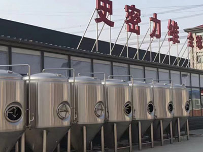 龙川精酿啤酒设备厂—如何判断精酿啤酒设备的密封件需要更换？